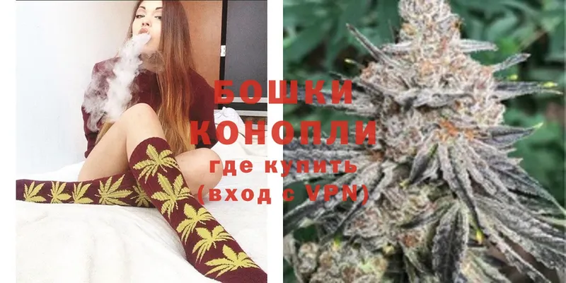 Бошки Шишки White Widow  Болхов 